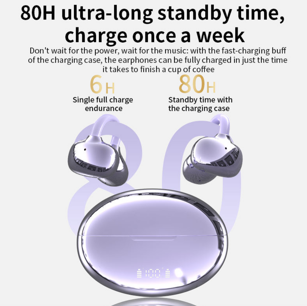 Translation Wireless Earbuds